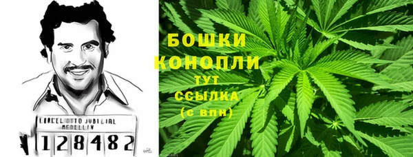 ECSTASY Дмитровск