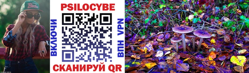 Галлюциногенные грибы прущие грибы  Жуковка 